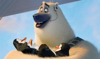 北极熊为什么不吃企鹅呢 为啥北极熊不吃企鹅