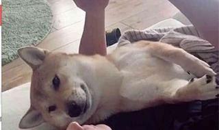 学生手机被缴怎么维护自己的权利(班主任还把手机砸了) 学校组织学生砸手机