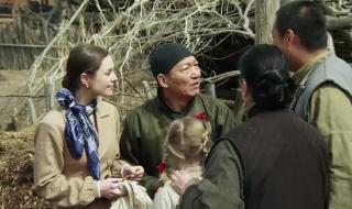 远去的飞鹰为什么娶叶蓉然 远去的飞鹰好看吗